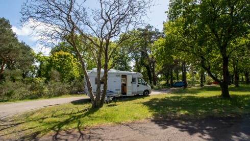 Paleisje99 – Camping-car Bürstner (2004) complet et puissant, avec 4 ceintures de sécurité et 3 couchettes.