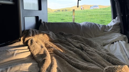 Nemo – 4 berth dog friendly campervan with Pop top