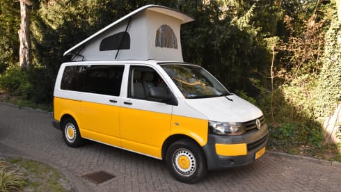 Gijsje  – 4p Volkswagen campervan from 2012