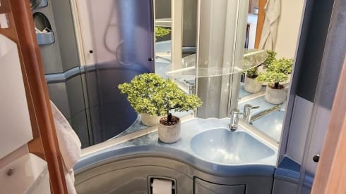 Rolli  – Rolli rolls :-)