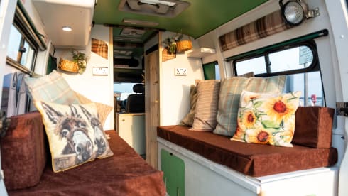 Annie The Ambulance – Ex-Ambulance, 3 Birth, Converted Campervan