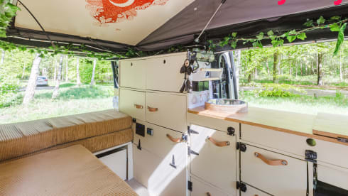 Alice The Van – Künstlerischer Dschungelcamper