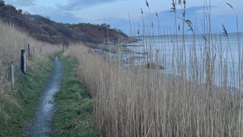 OnlyVans – Only Vans Adventures - VW T5 - 2 Berth