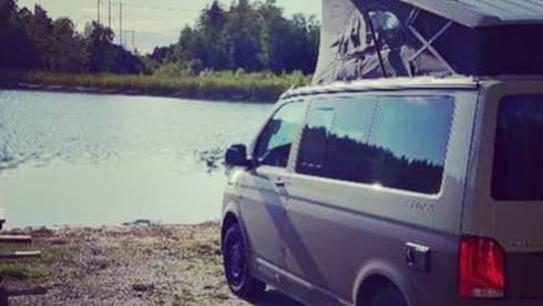 CALI Brown Grey – Volkswagen California COAST Brown/AscotGrey (2021)