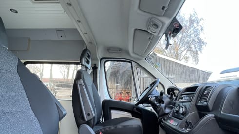 Horst – Fiat Ducato Multijet, panel van