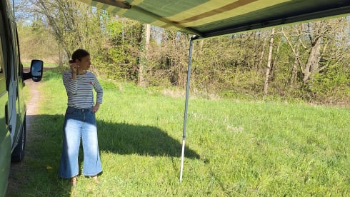 Lenny – 4p Ford bus uit 2009