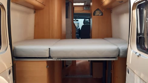 Bus camper Adria Twin