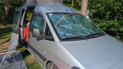 Knusse bus Billie – 2p Fiat other from 2004