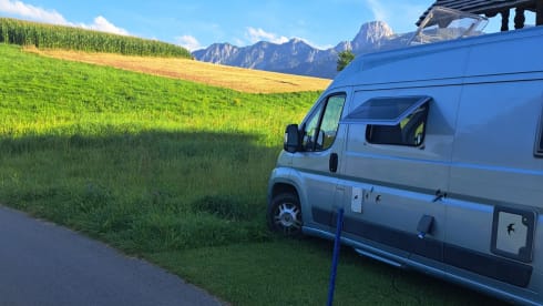 Blue Bird – Four-person EuraMobil Bus Camper