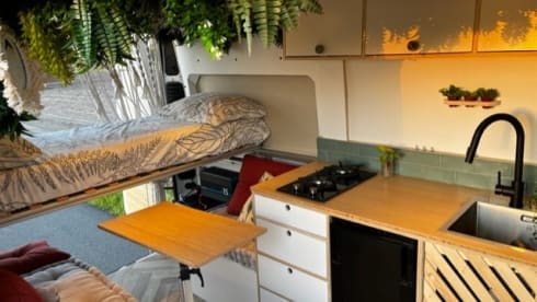 Try Vanlife – Prova Vanlife! nel nostro Fiat ducato fuori rete (letto fisso grande)