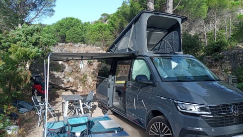 Mitango – Viva my Van