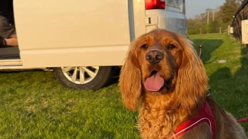 Explore One – ExploreCampers - 4 Berth VW T6 Campervan – Off-Grid Ready with Projector