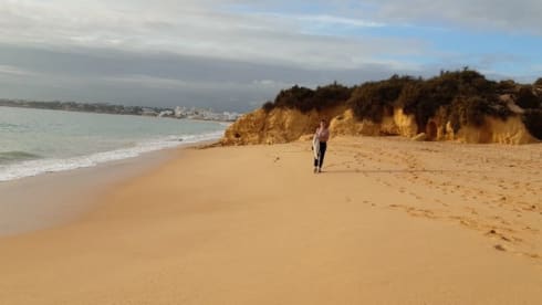 Charlie – Mercedes Charlie 308D