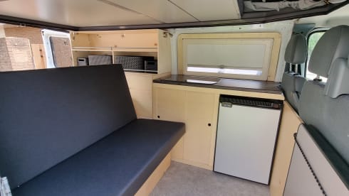 4p Ford campervan uit 2009