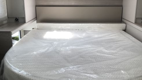 Stef – Magnificent discovery