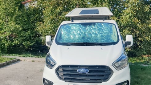 Gino – Van Westfalia Kelsey