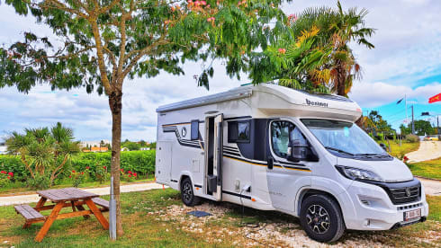 4p Benimar semi-integrated from 2023