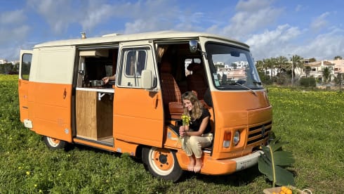 Laranja – Rent a  Blue Classics’s Combi J9