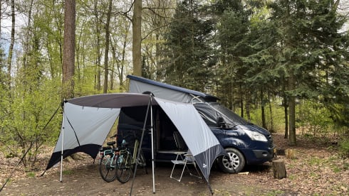 Nuggy  – 4p Ford bus from 2018
