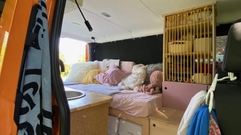 Sien  – 4p Mercedes-Benz bus uit 2021
