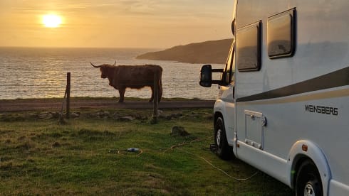 Vanessa  – 4 berth Weinsberg semi-integrated from 2019