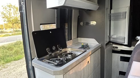 Rollerteam Livingstone Duo Xl