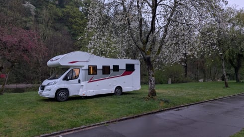 Rimor Seal 24 Alcôve à partir de 2025