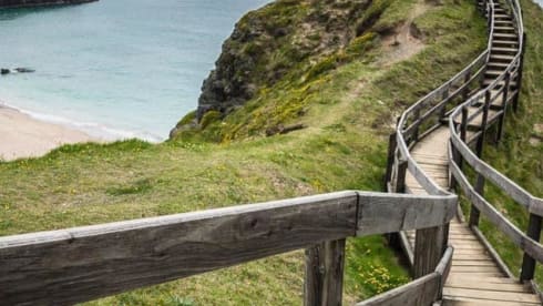 Ernie – Rollerteam 685 pet friendly motorhome