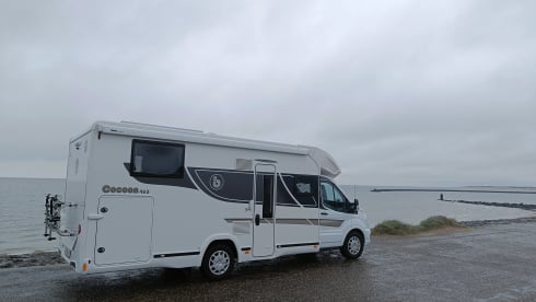 Luxury Ford Cocoon 463 - AUTOMATIC - Winter version - 2022