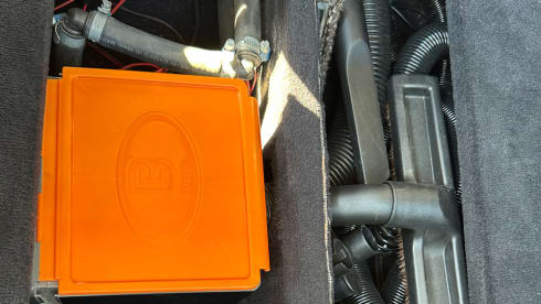 4p Other bus from 2019