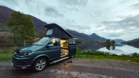 Bamboo Bennie – Hashtagcampers
