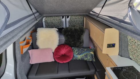 Evaldo – EV Camper ⚡️ 100% electric