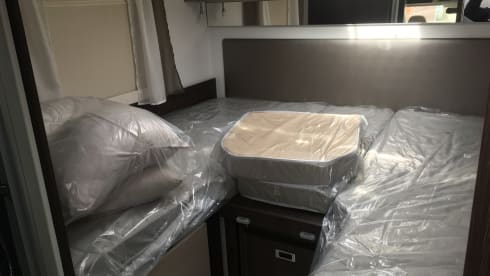Comfortable cocoon 463