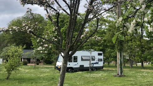 🌿 Spacious and atmospheric 4 p family camper