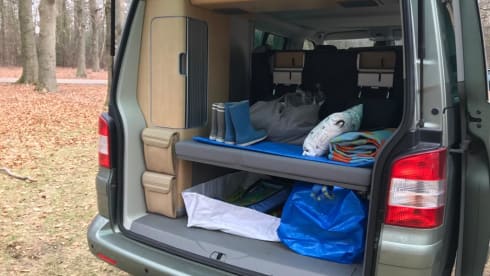 California 4motion – Beautiful T5 for rent for trips within the Netherlands