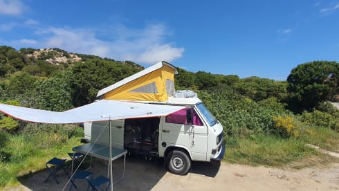 Nino – Van d'epoca: viaggio nel passato in Sardegna