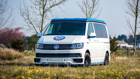 Bob – White & Blue Ormskirk