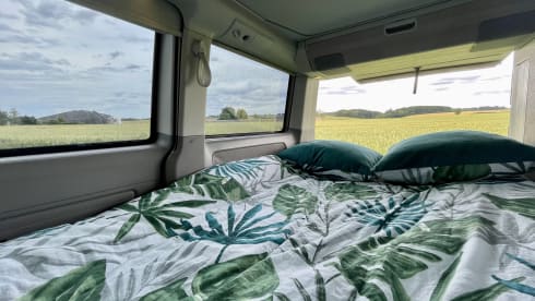 Calif – LIEFERWAGEN VW Kalifornien