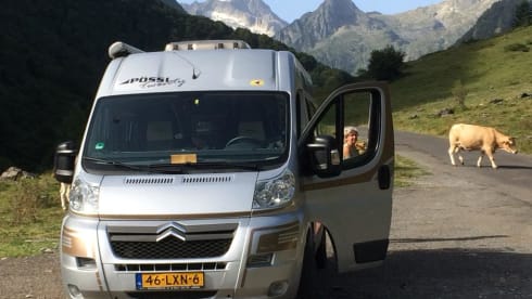 Compact Pössl 2Win factory-built bus camper (dog allowed)