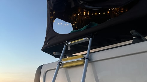 Disco Bus  – Custom Vauxhall Vivaro with Roof Tent 