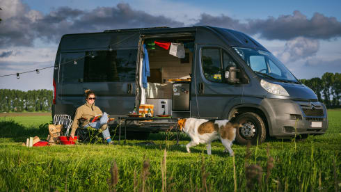Lola – Minibus Citroën 2 places de 2011