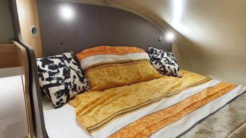 Leo – NATURE and YOU