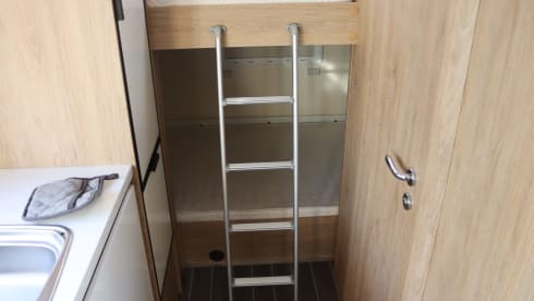 Équipe de roller 6p Alcove de 2018