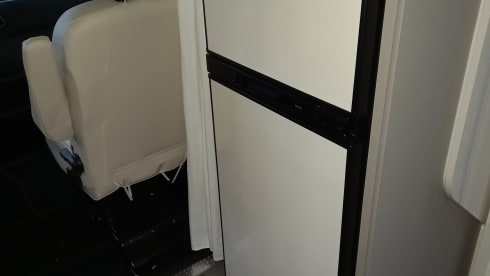 Raumwunder  – Maple Canada AD