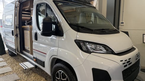 2p Fiat bus from 2026