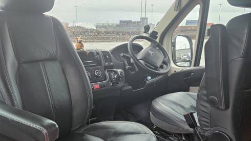 Jenny Wren – Mr DGB