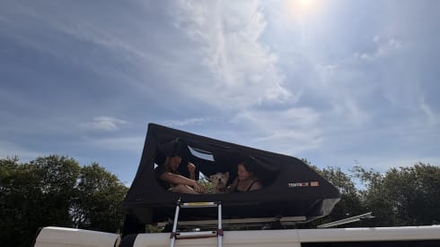 Disco Bus  – 4-persoons campervan, modeljaar 2017