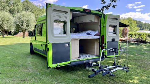 3p Fiat bus from 2019