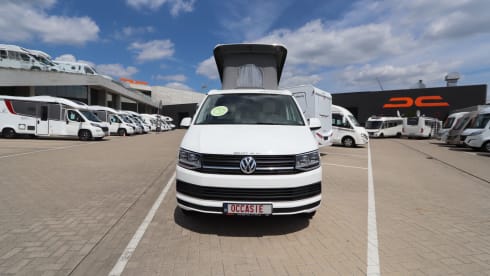 Chic VW Westfalia Kepler Six