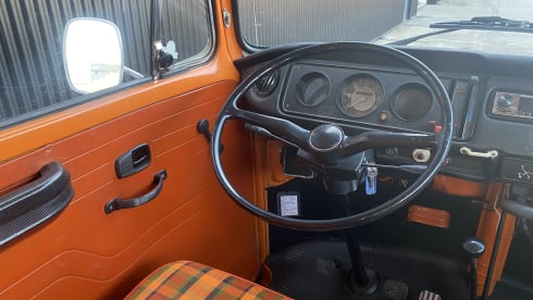Bus Texas – Volkswagen T2b, 1974